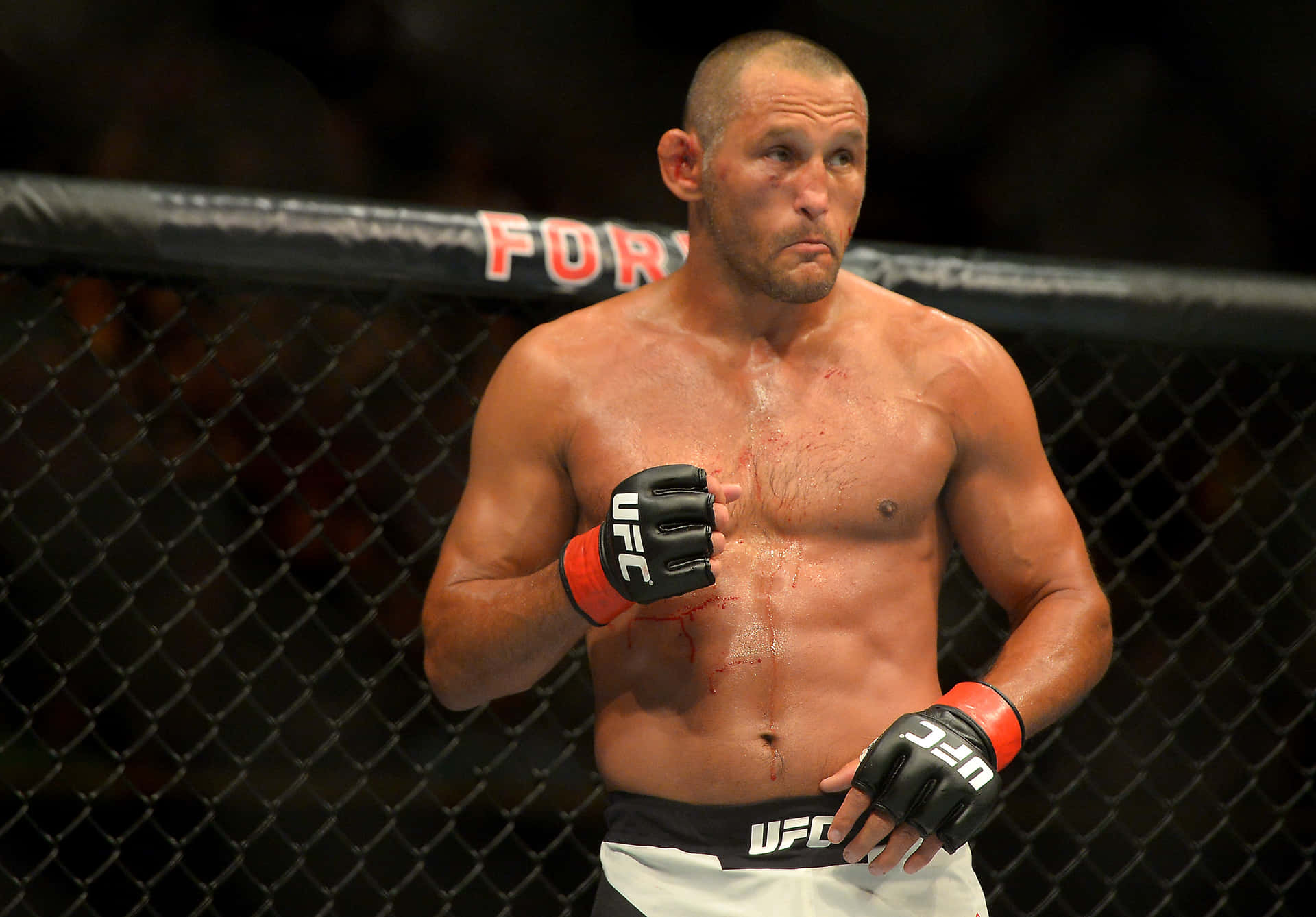 Mixed Martial Artist Dan Henderson Preparing To Counter Background