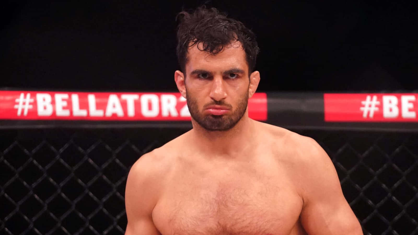 Mixed Martial Artist, Gegard Mousasi Celebrating Victory At Bellator 275 Background