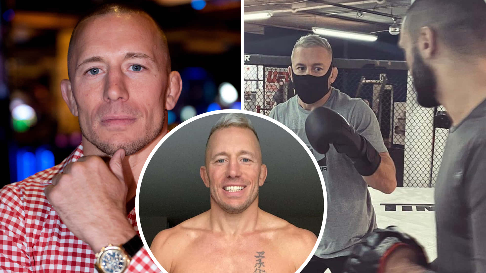 Mixed Martial Artist Georges St-pierre Collage