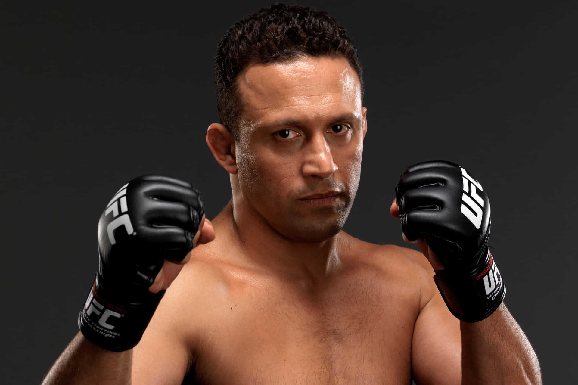 Mixed Martial Artist Renzo Gracie Fighting Stance Background