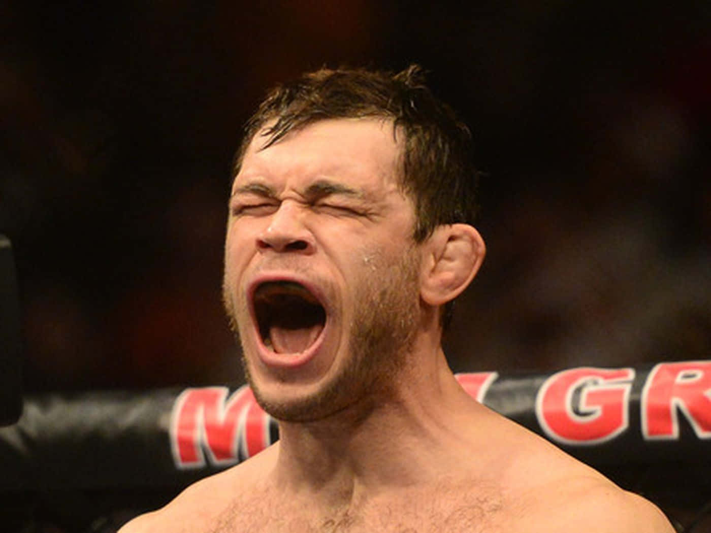 Mixed Martial Arts Forrest Griffin Background