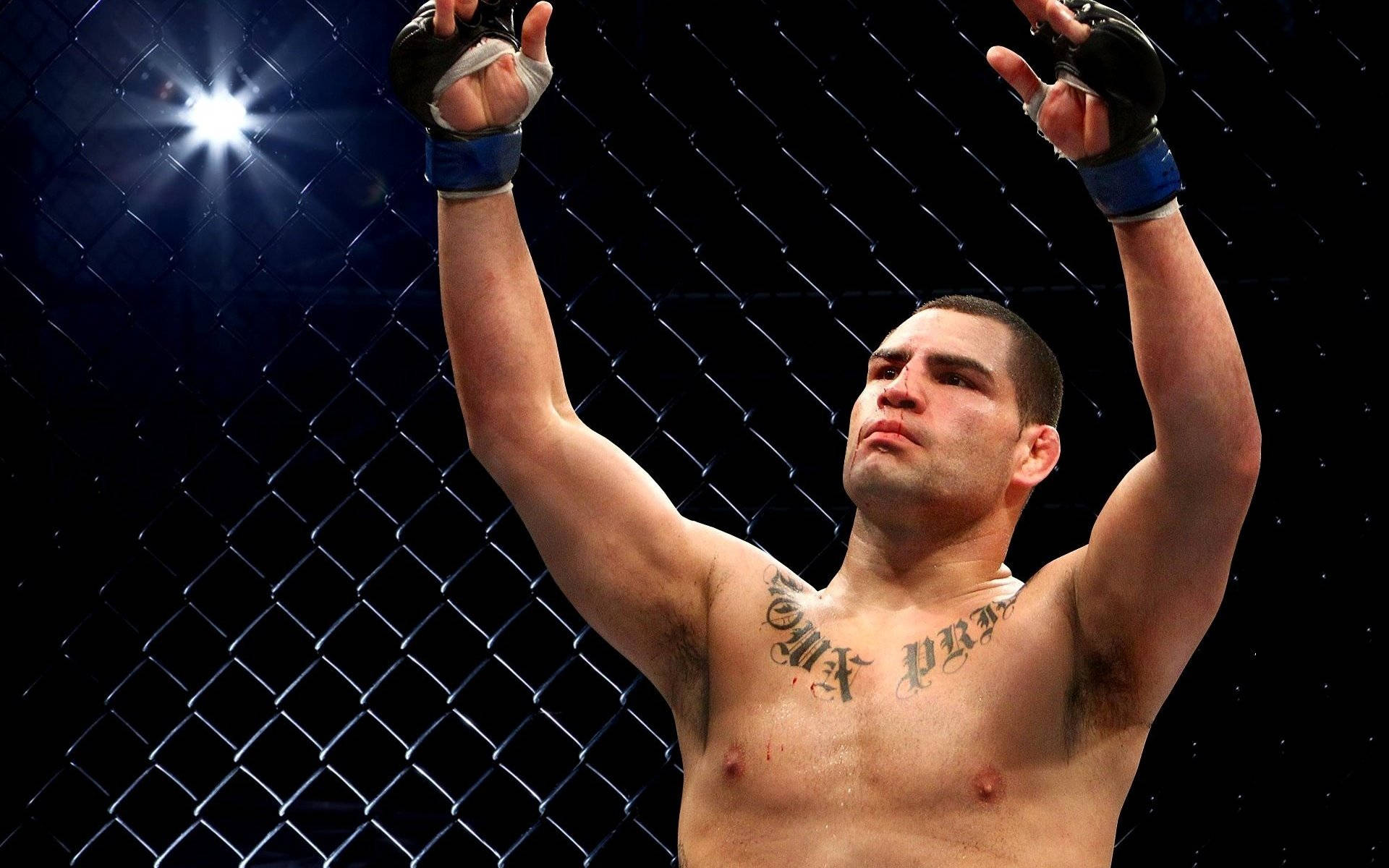 Mma Cain Velasquez