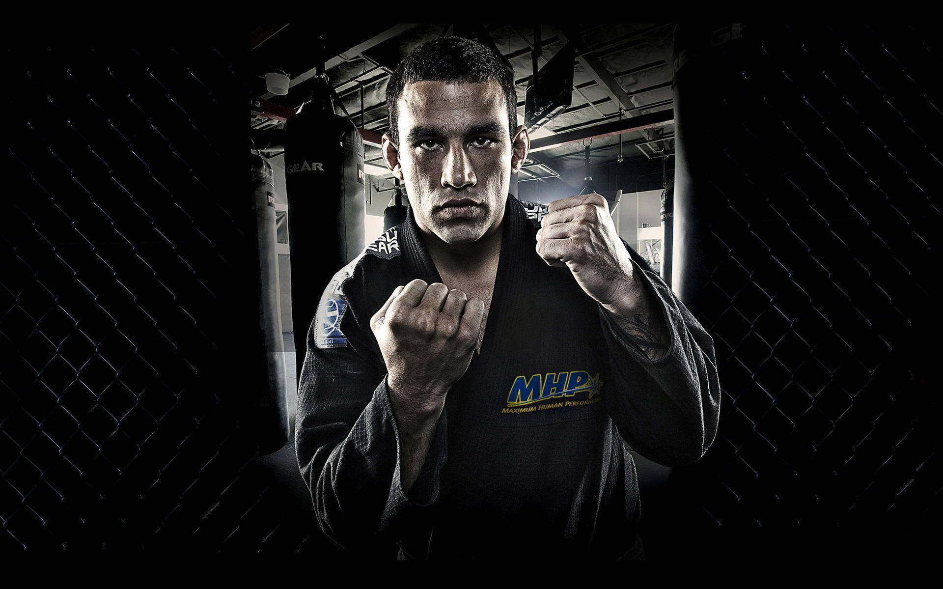 Mma Fabricio Werdum Background