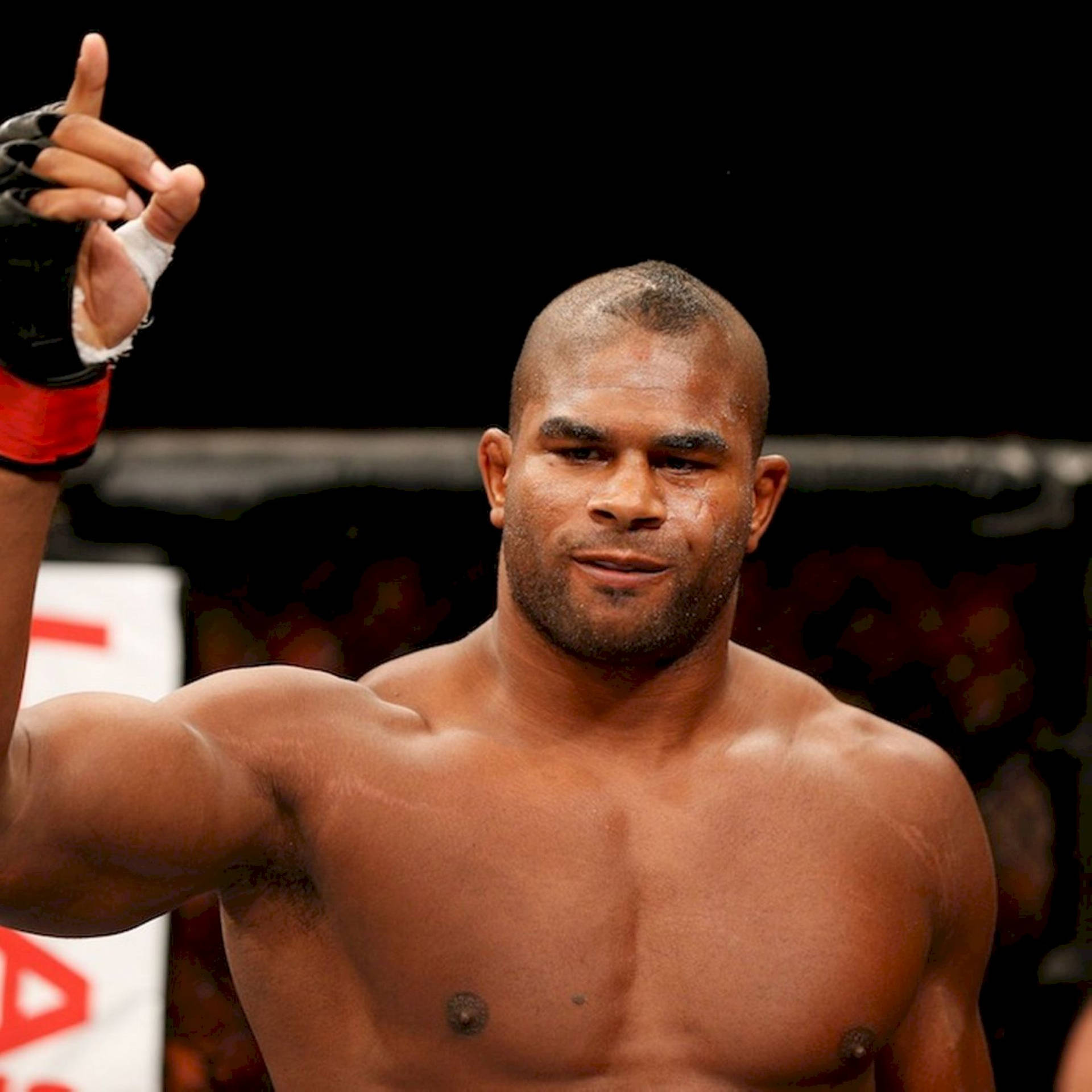 Mma Fighter Alistair Overeem Pointing Up Background