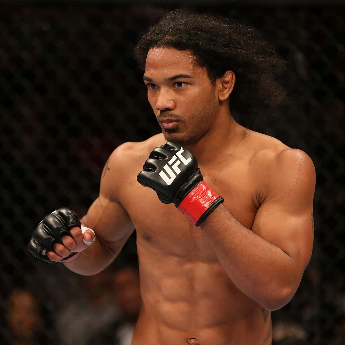 Mma Fighter Ben Henderson Striking Pose Photograph Background