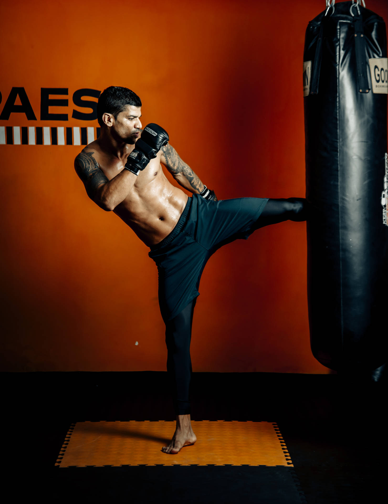 Mma Fighter Kick Background