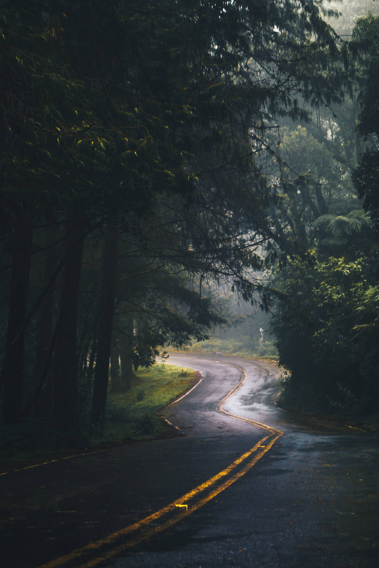 Mobile 4k Nature Road Background