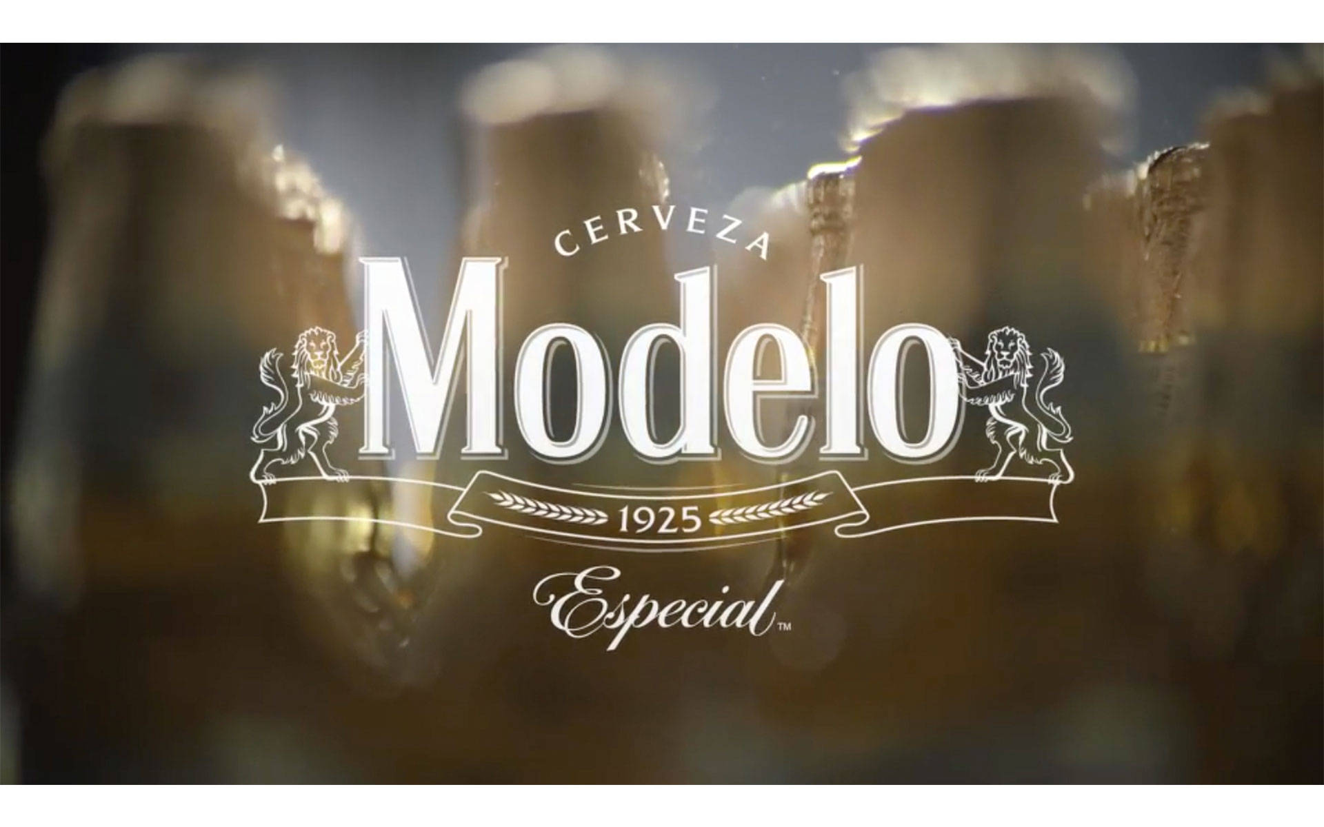 Modelo Especial Brand Logo Background