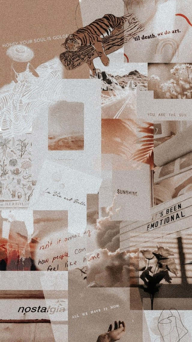Modern Aesthetic With Neutral Tones Background