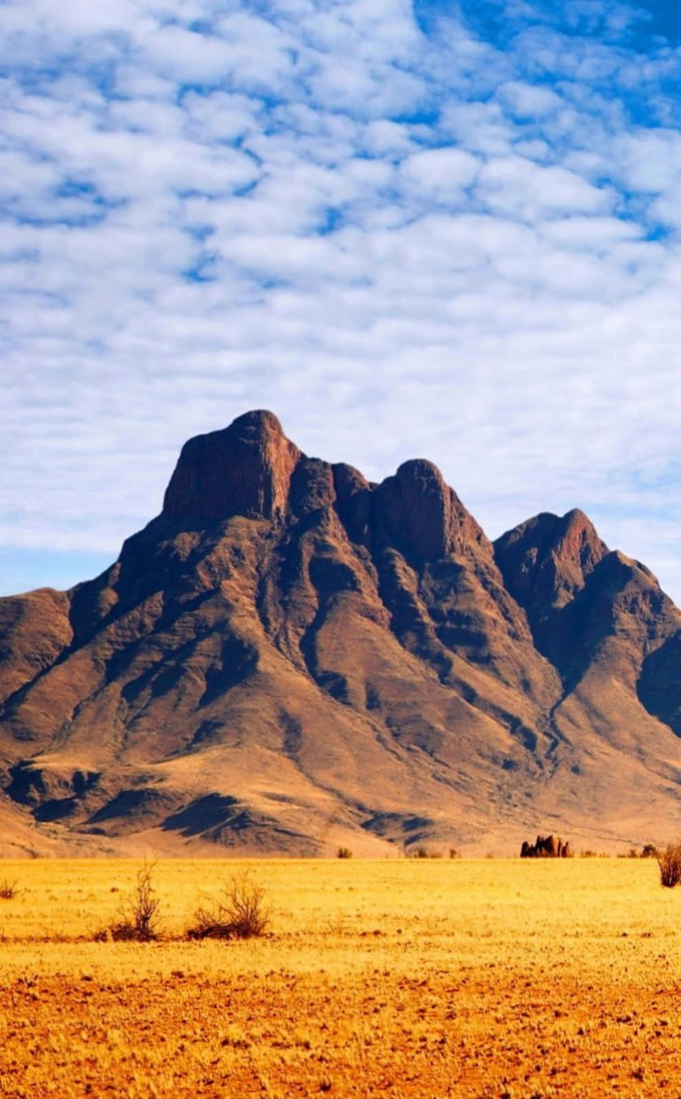 Modern African Phone Technology