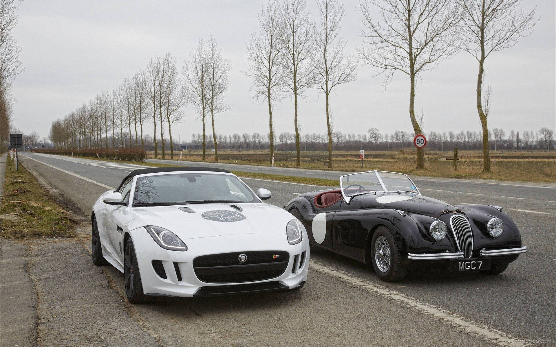 Modern And Vintage Jaguar Cars