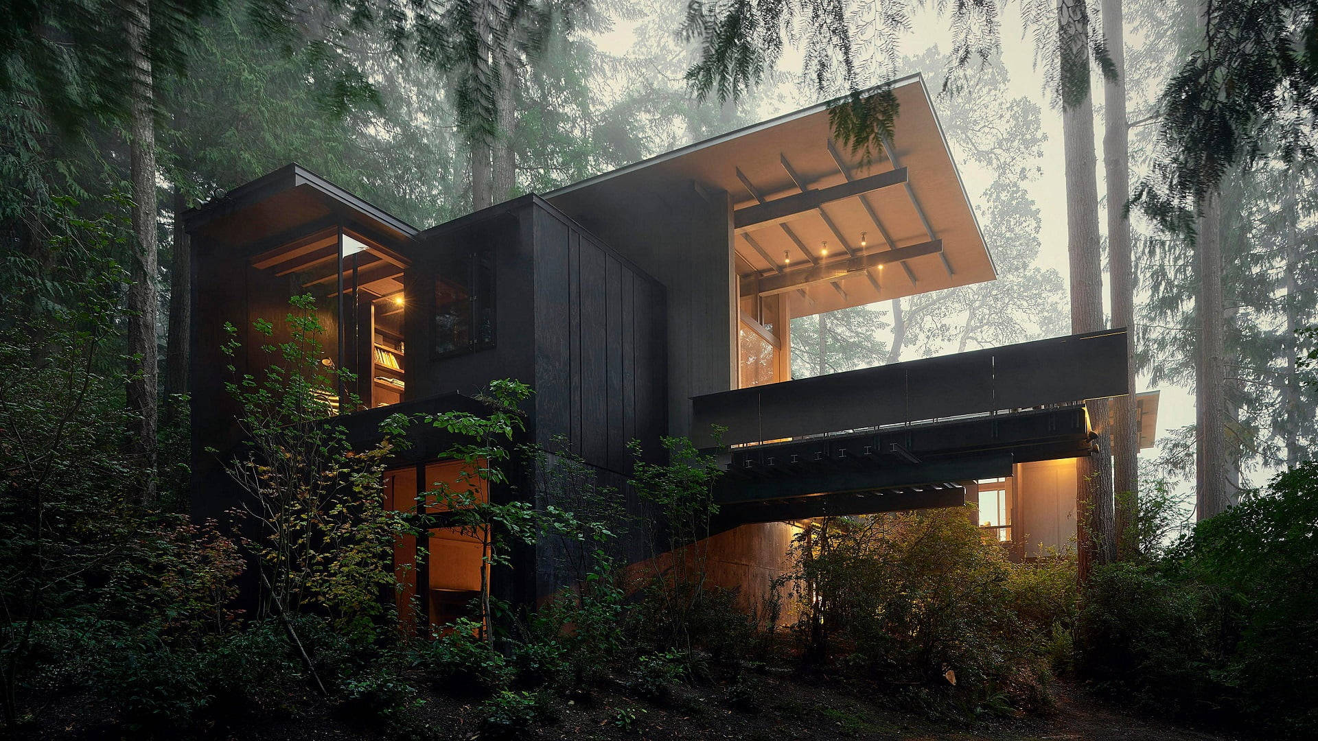 Modern House In Forest Background