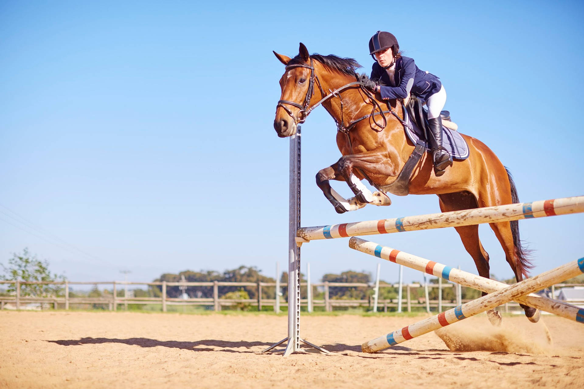 Modern Pentathlon Horse Jumping With Rider Background