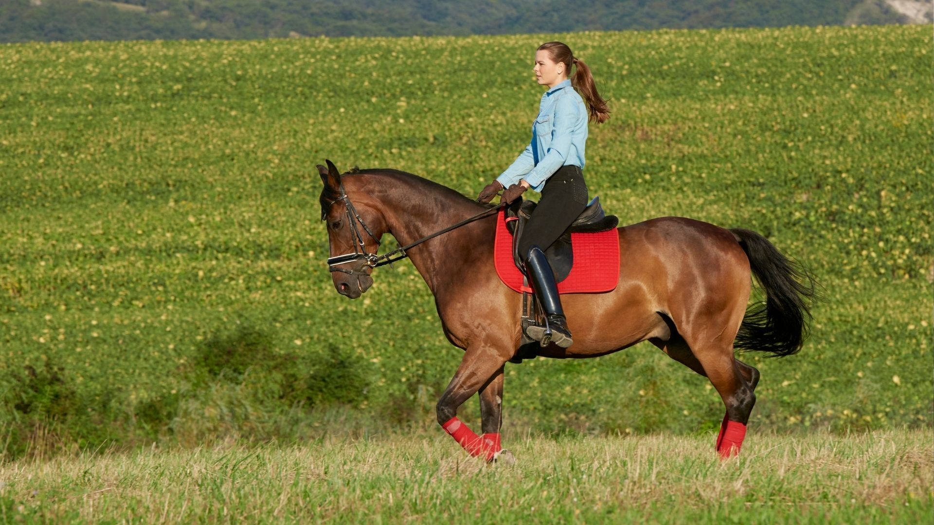 Modern Pentathlon Woman Horse Ride