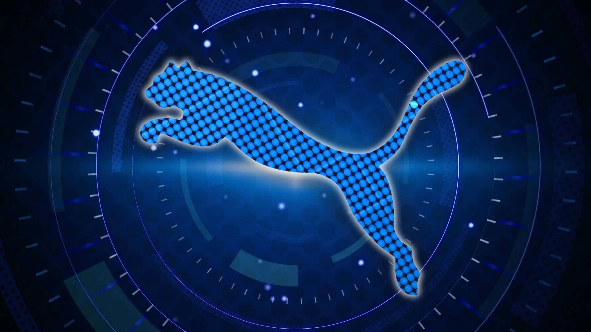 Modern Puma In Blue Background