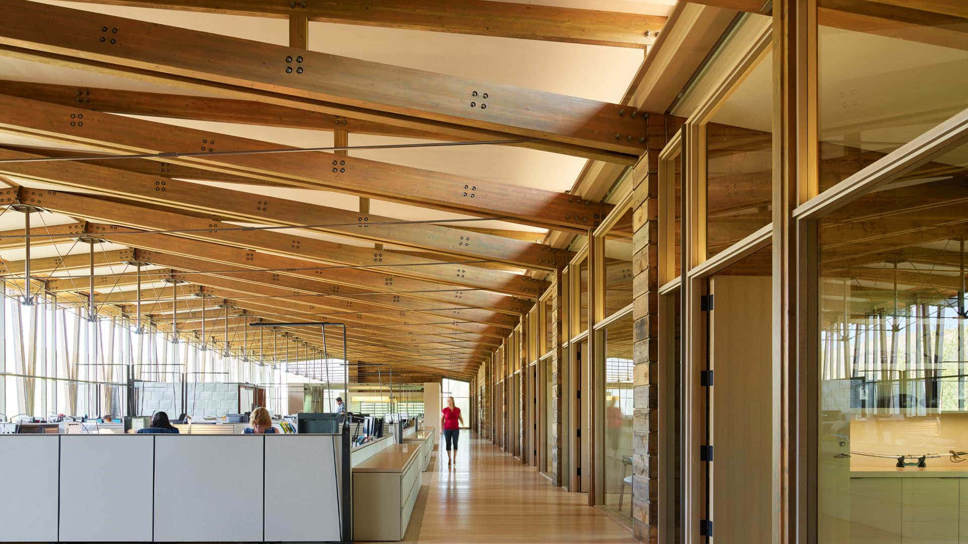 Modern Wooden Office Interior Background