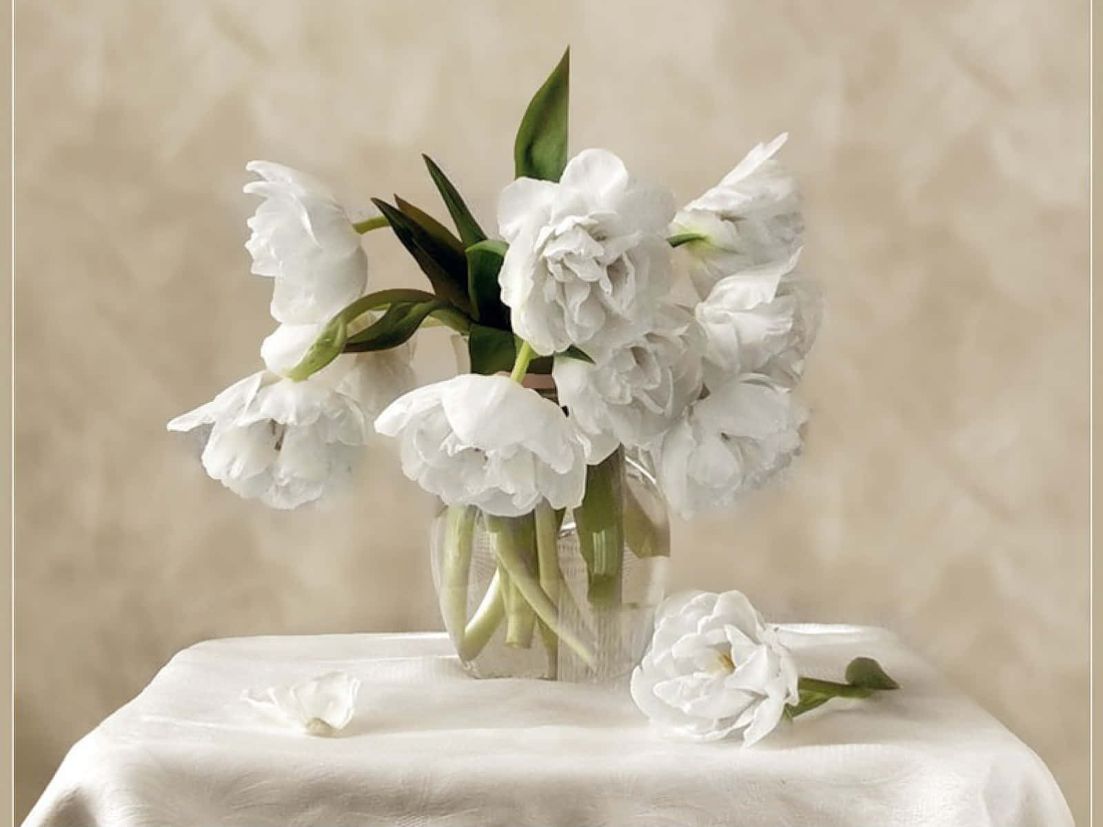 Modest And Elegant Flower Arrangement Background