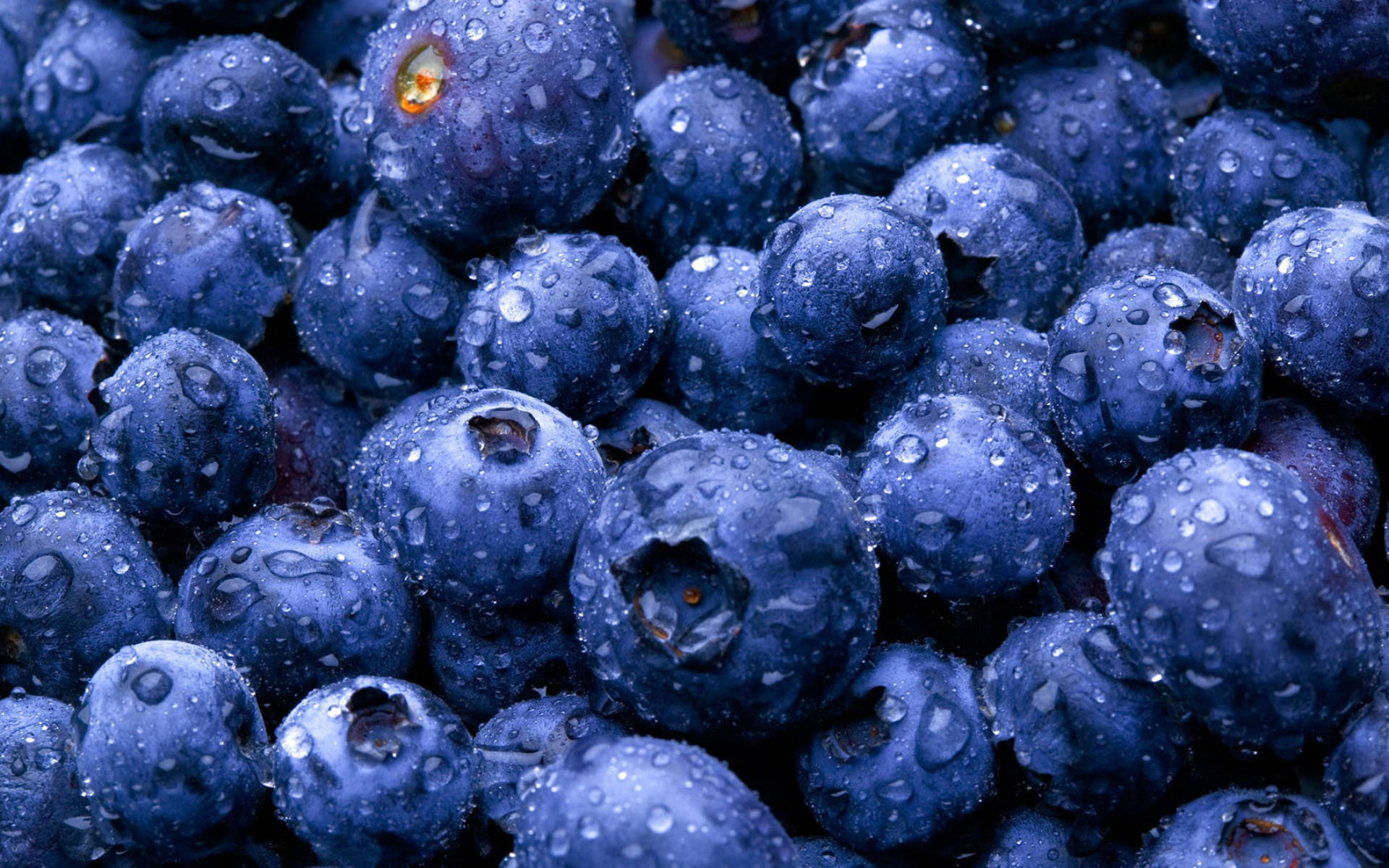 Moist Blue Berries Background