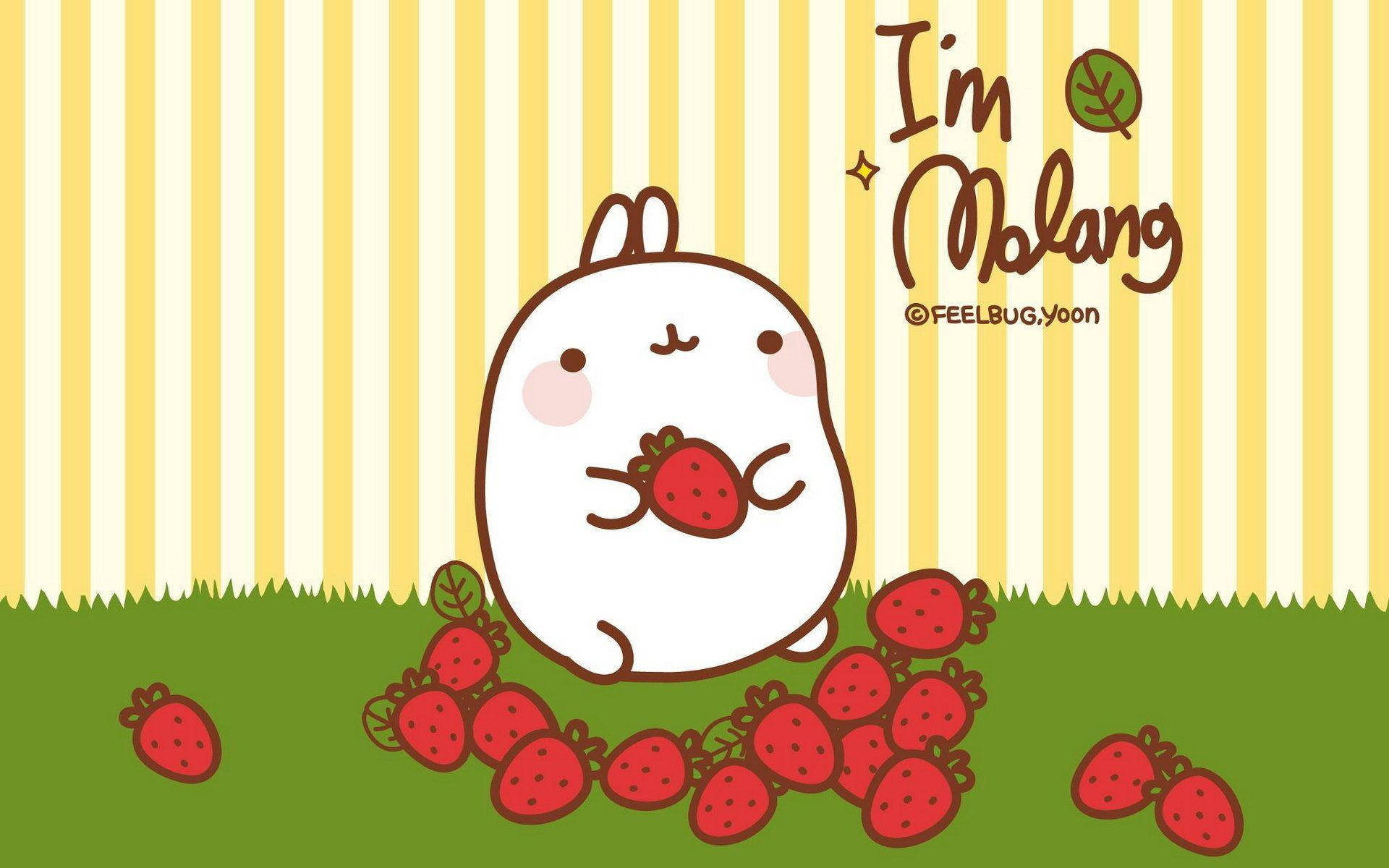 Molang On Grass Background
