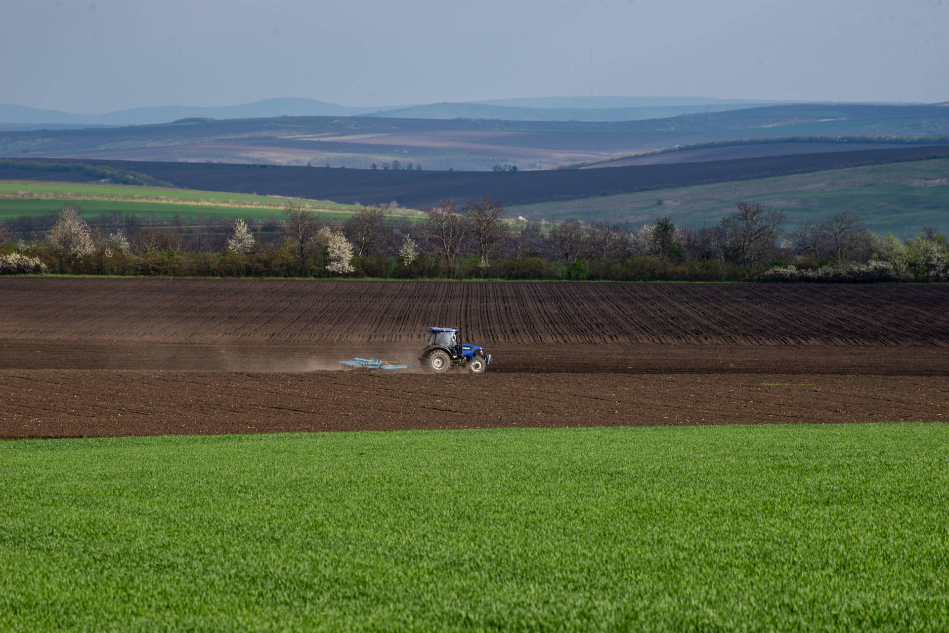 Moldova Agricultural Land Of Falesti Background