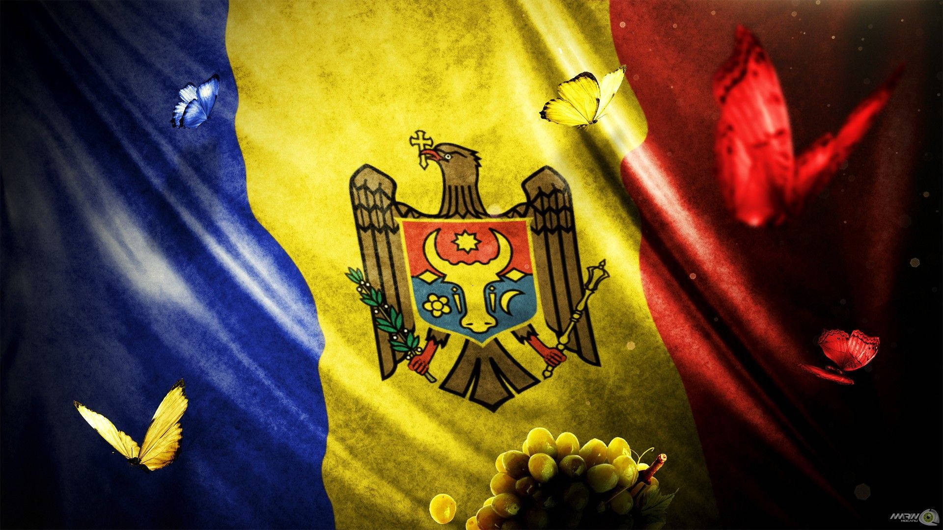 Moldova Flag With Butterflies Background