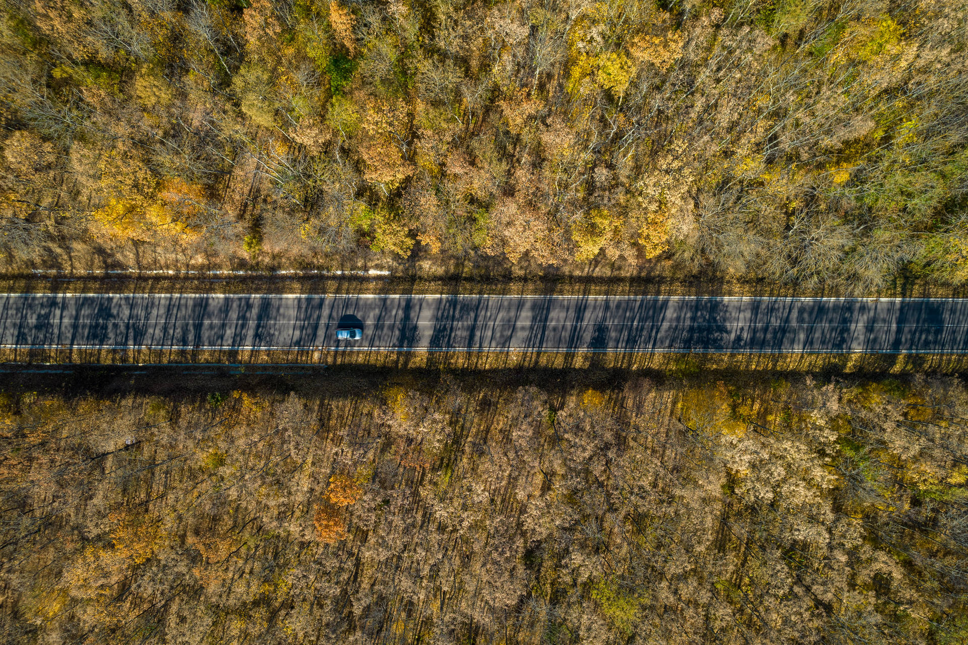 Moldova Road In Autumn Background