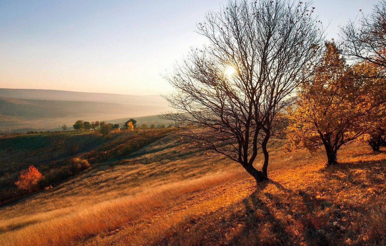 Moldova Vulcănești Town Background