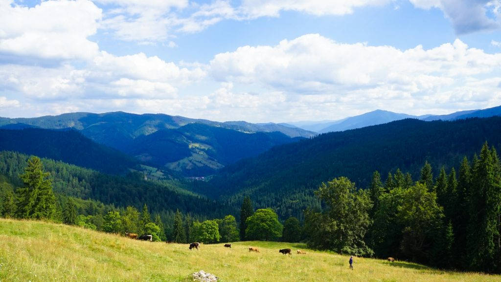 Moldovița Mountains Romania Background