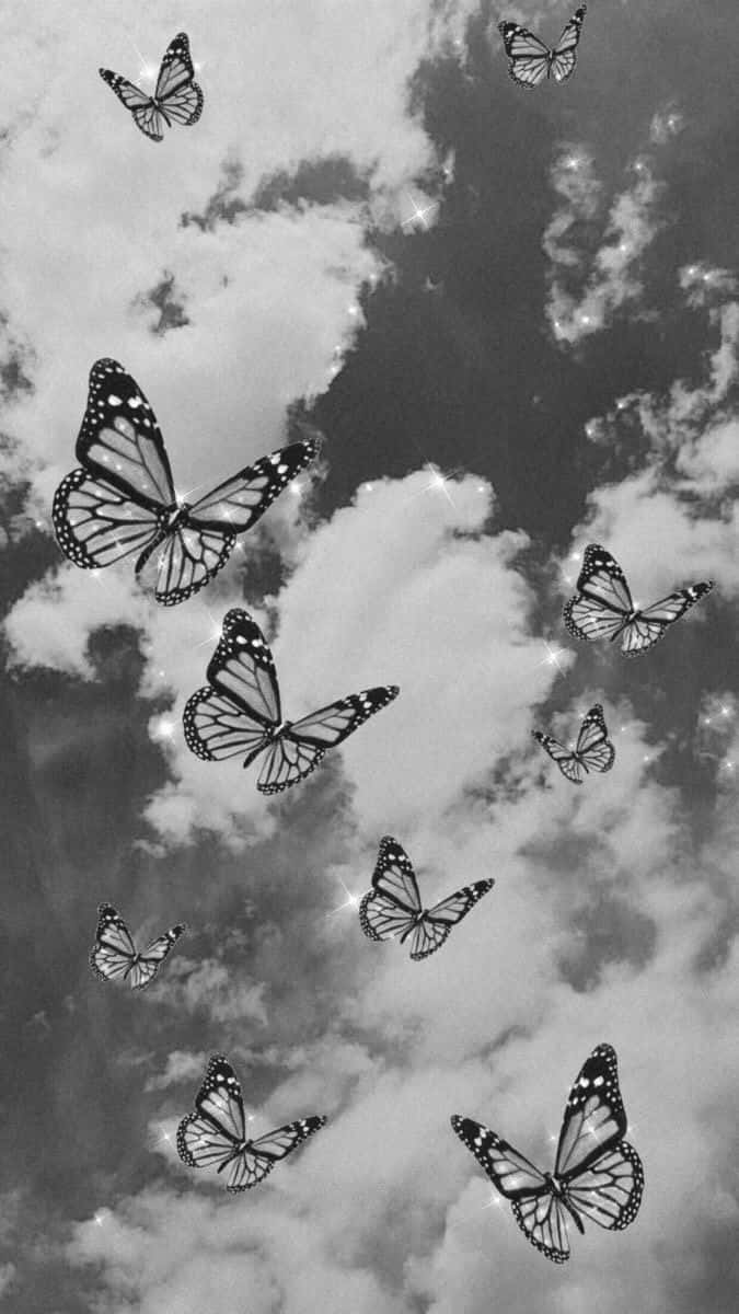 Monarch_ Butterflies_in_ Flight_ B W Background