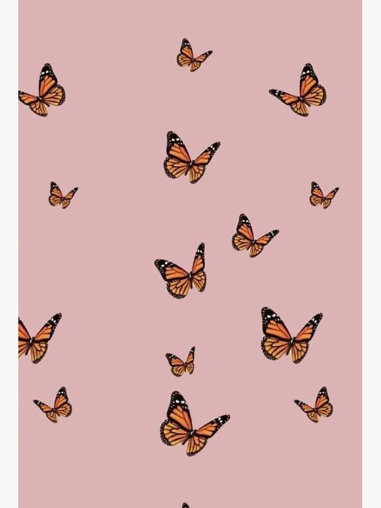 Monarch Butterflies Pink Aesthetic Illustration