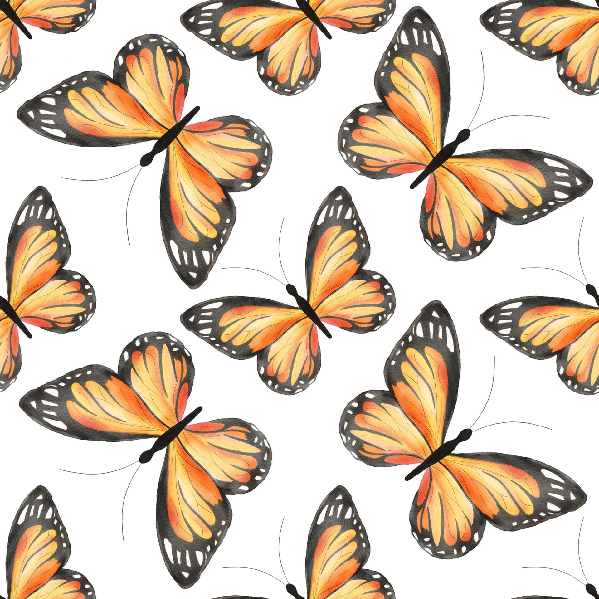 Monarch Butterflies White Aesthetic Illustration