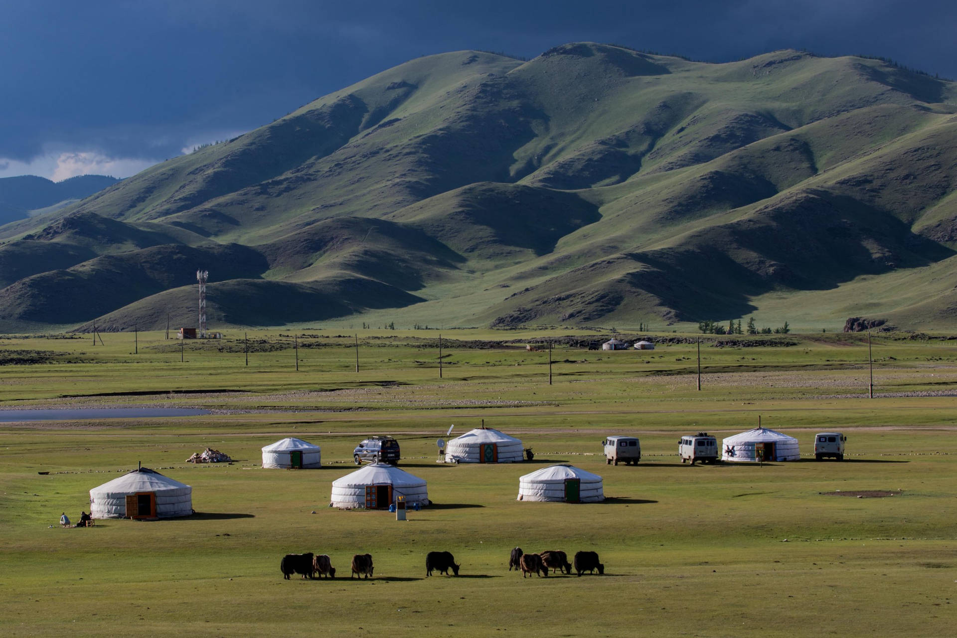 Mongolia Green Plains Background