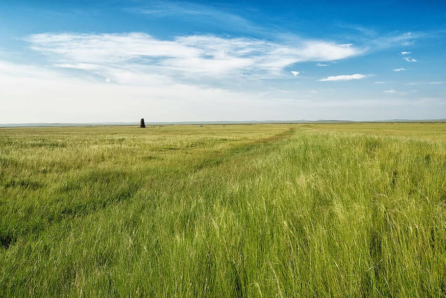 Mongolias Grassland Under Blue Sky Background