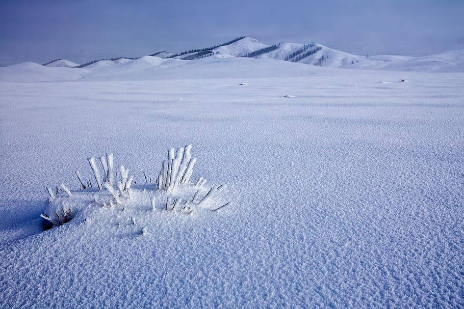 Mongolias Snowfield