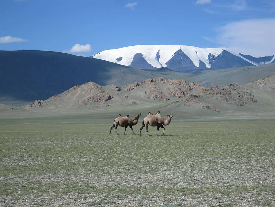 Mongolias Sutai Mountain Background