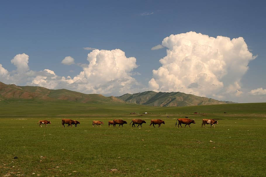 Mongolias Thick Clouds Background