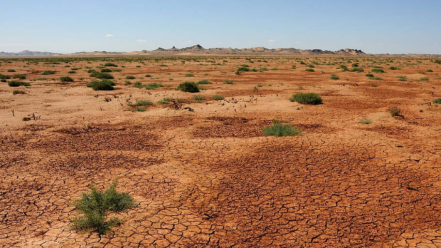 Mongolias Vast Desert