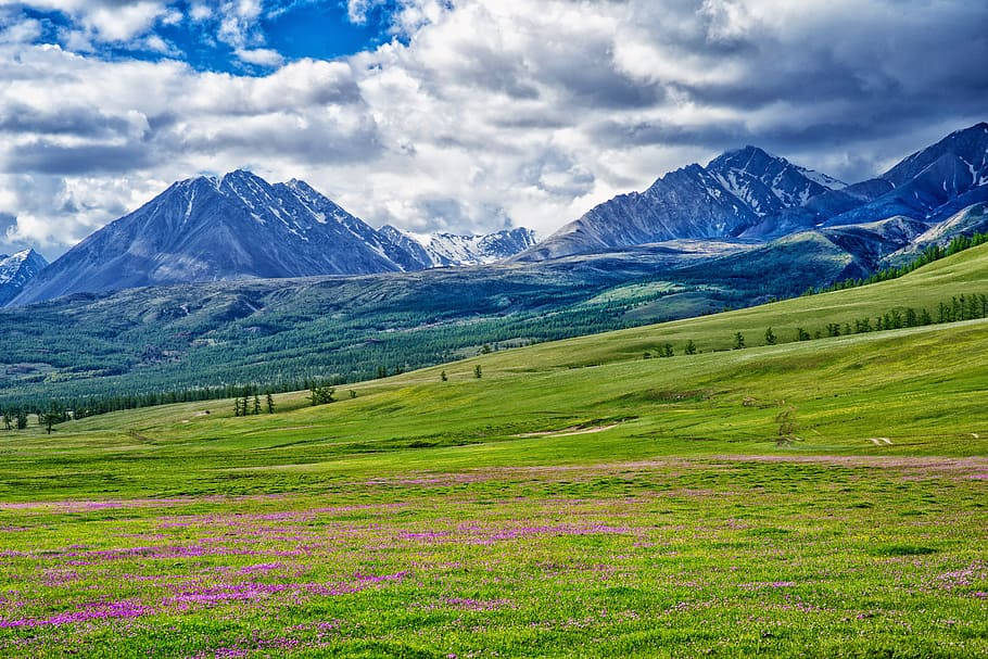 Mongolias Vast Prairie