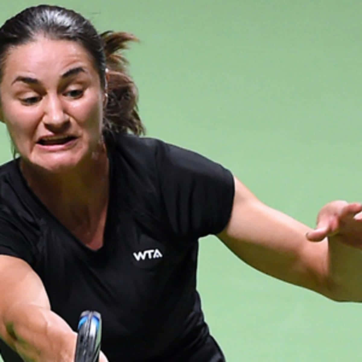 Monica Niculescu Up-close Green Background Background