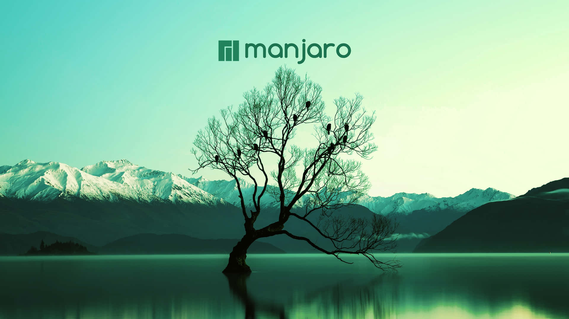 Monjaro Logo Tree Background