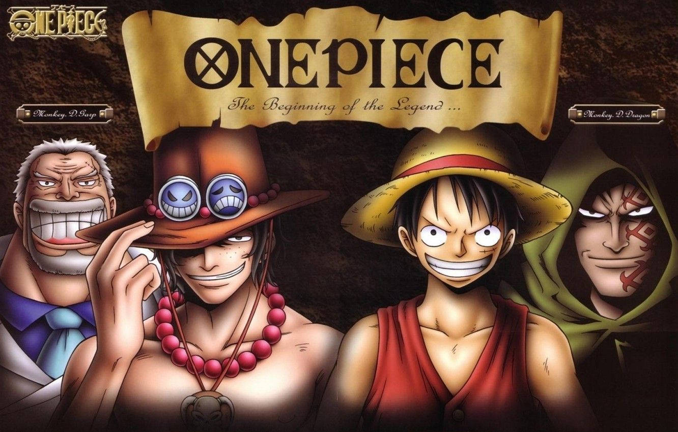 Monkey D Dragon One Piece Poster Background