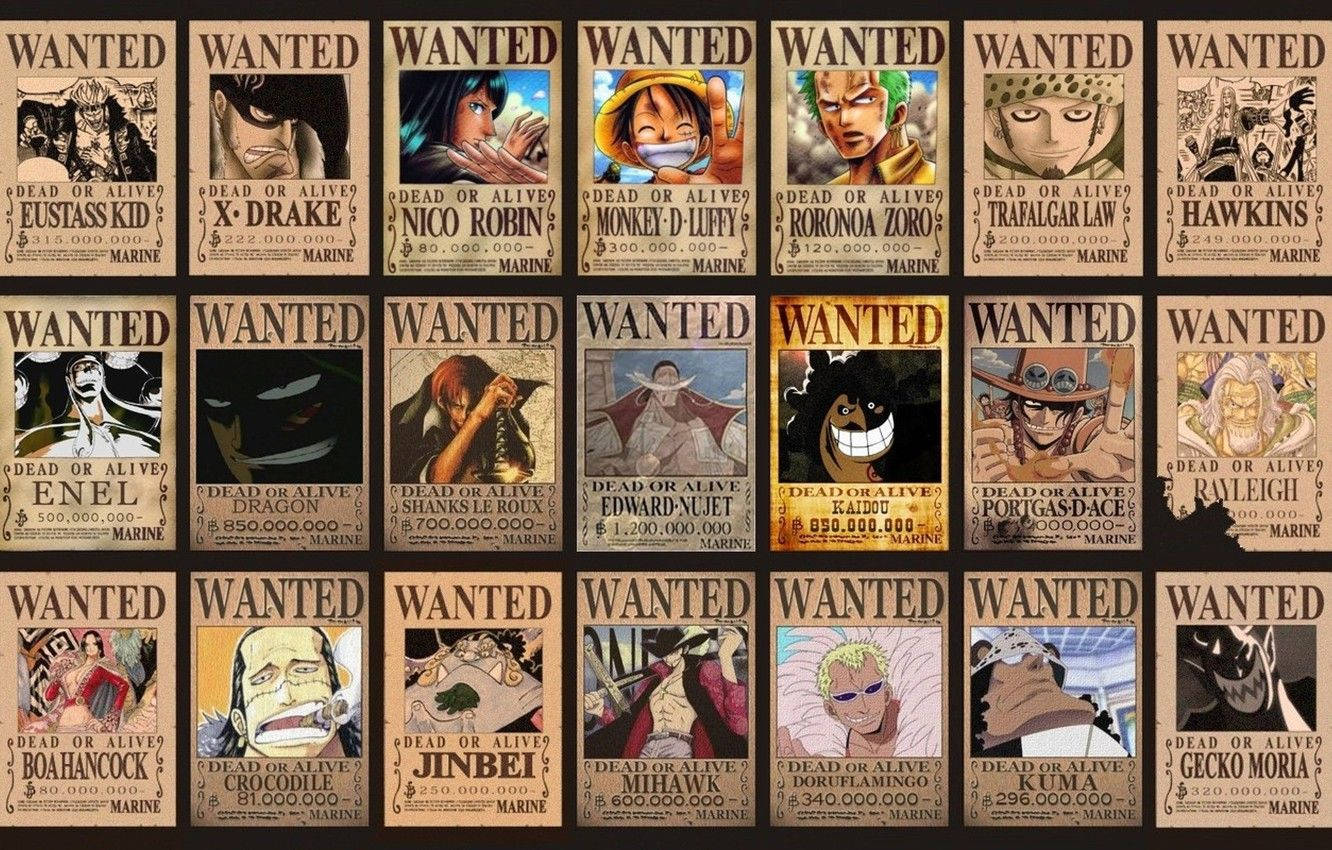 Monkey D Dragon Wanted Poster Background