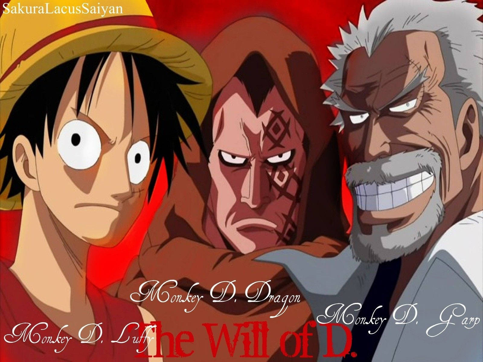 Monkey D Dragon With Luffy Background
