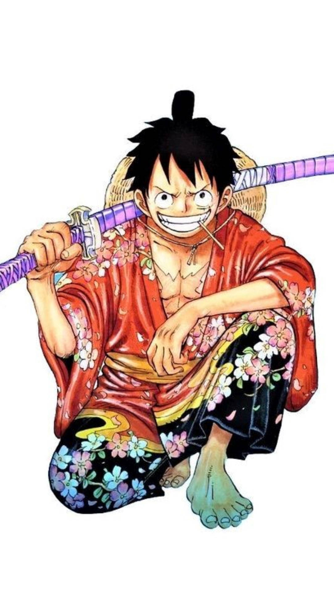 Monkey D Luffy In Zoro Outfit