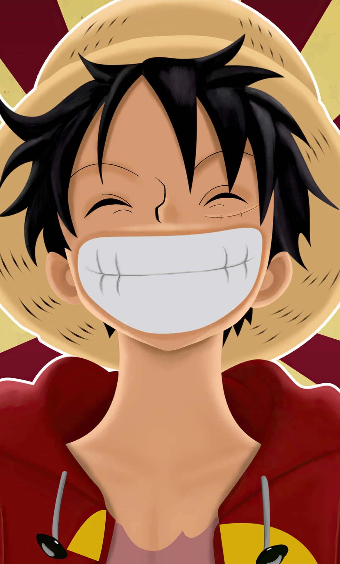 Monkey D. Luffy Ready To Set Sail Background