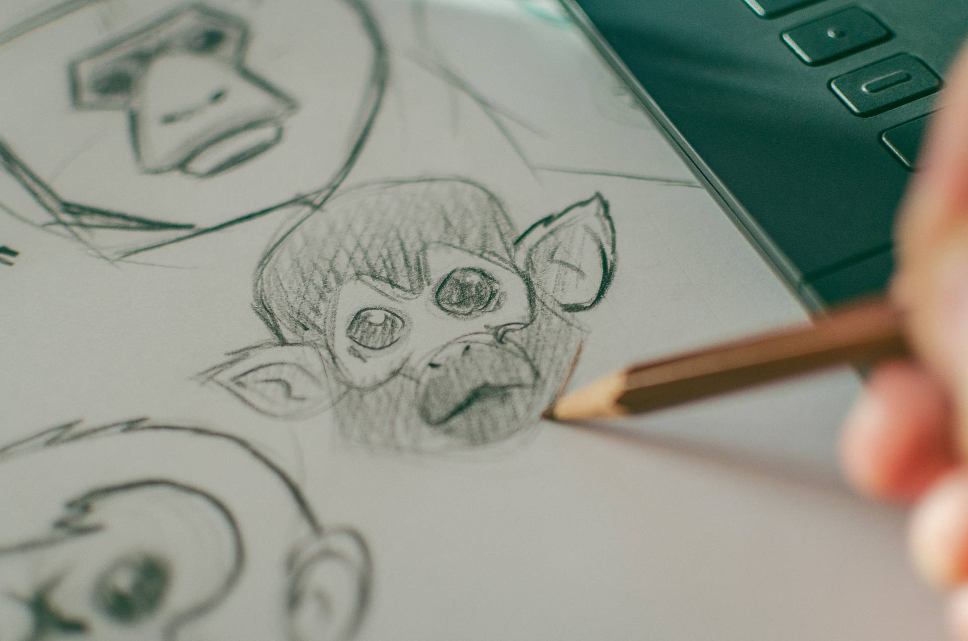 Monkey Head Pencil Drawing Background