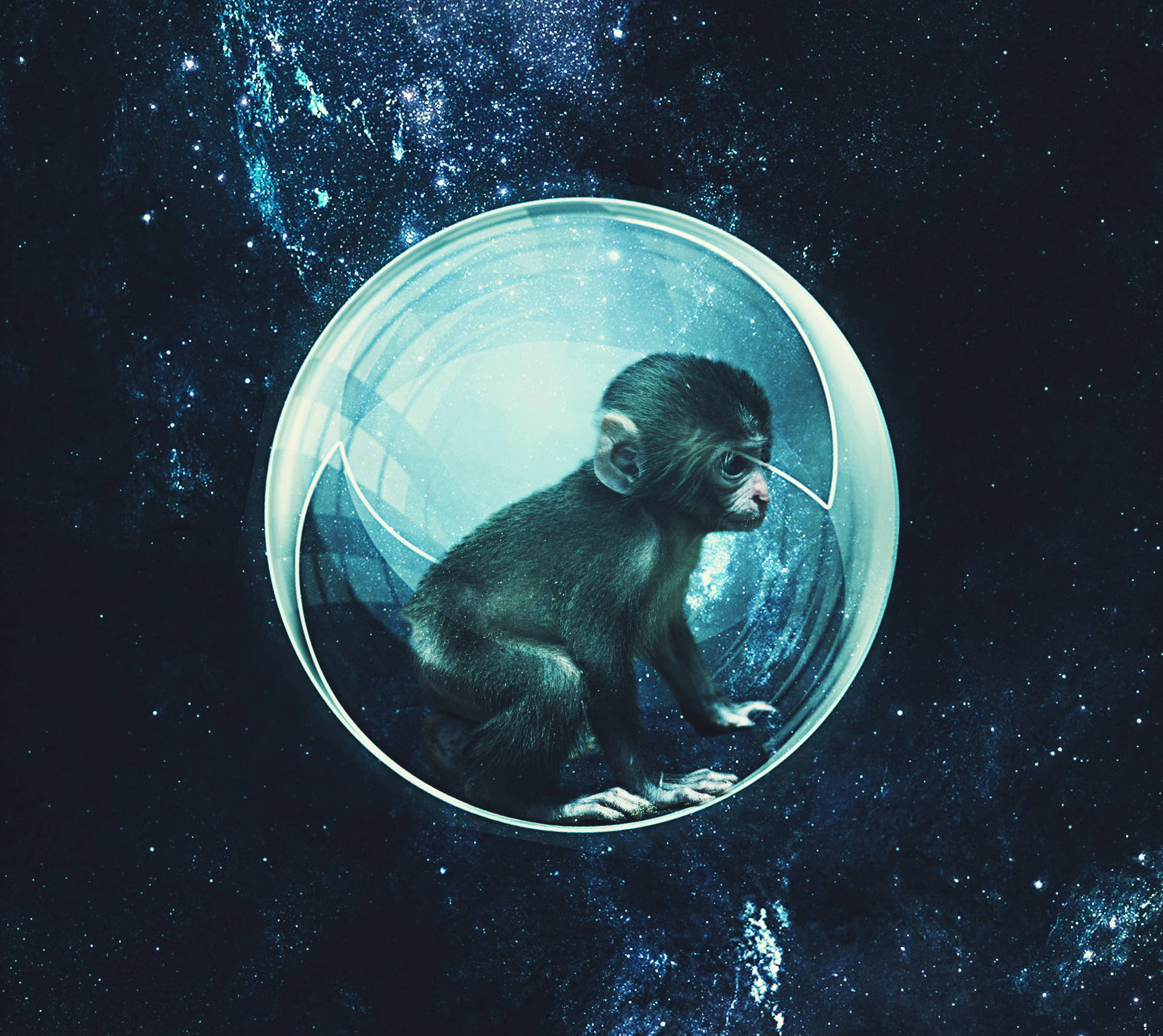 Monkey In Space Bubble Background