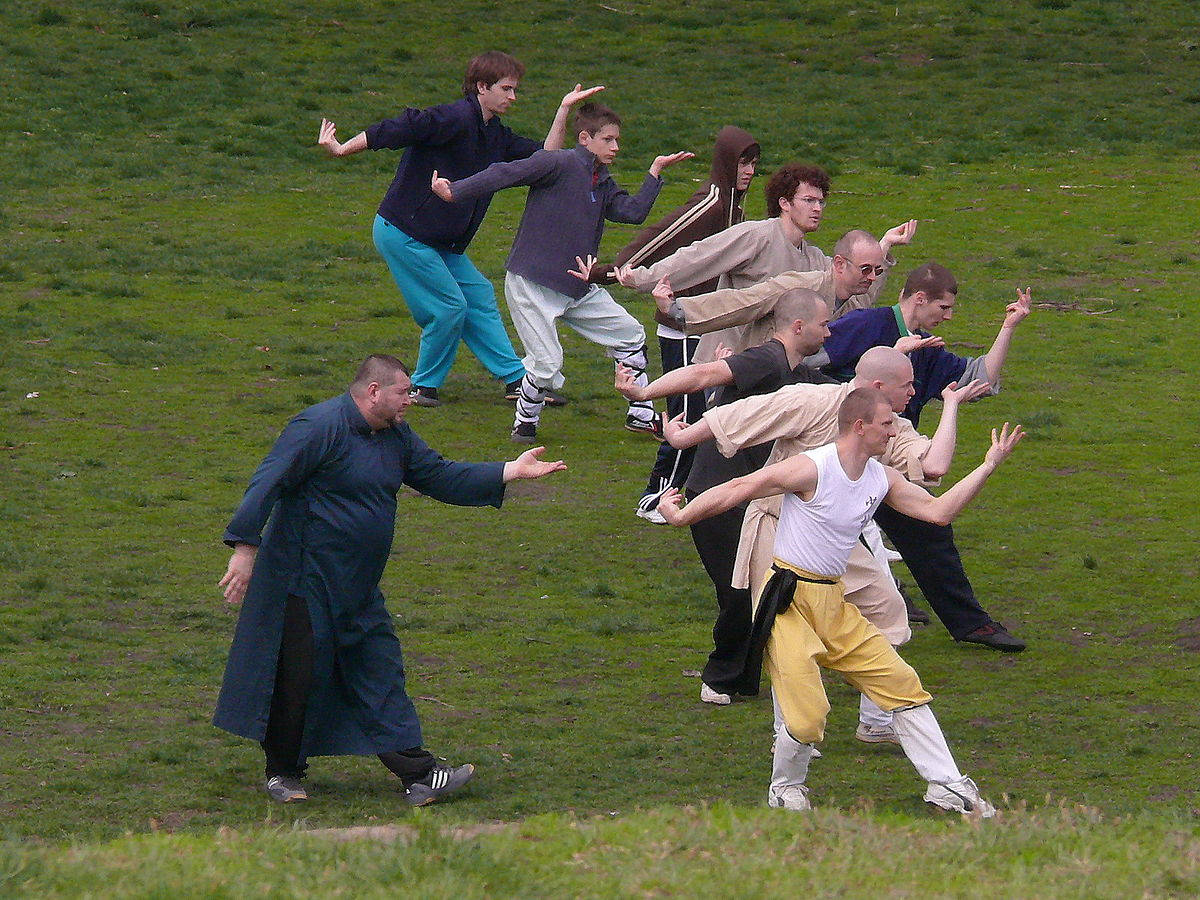 Monkey Kung Fu In Hungary Background