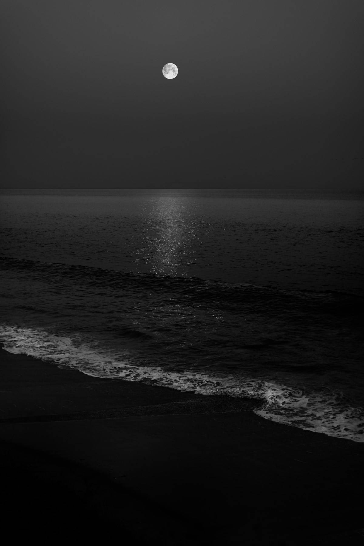 Monochromatic Beach Night Sky Background