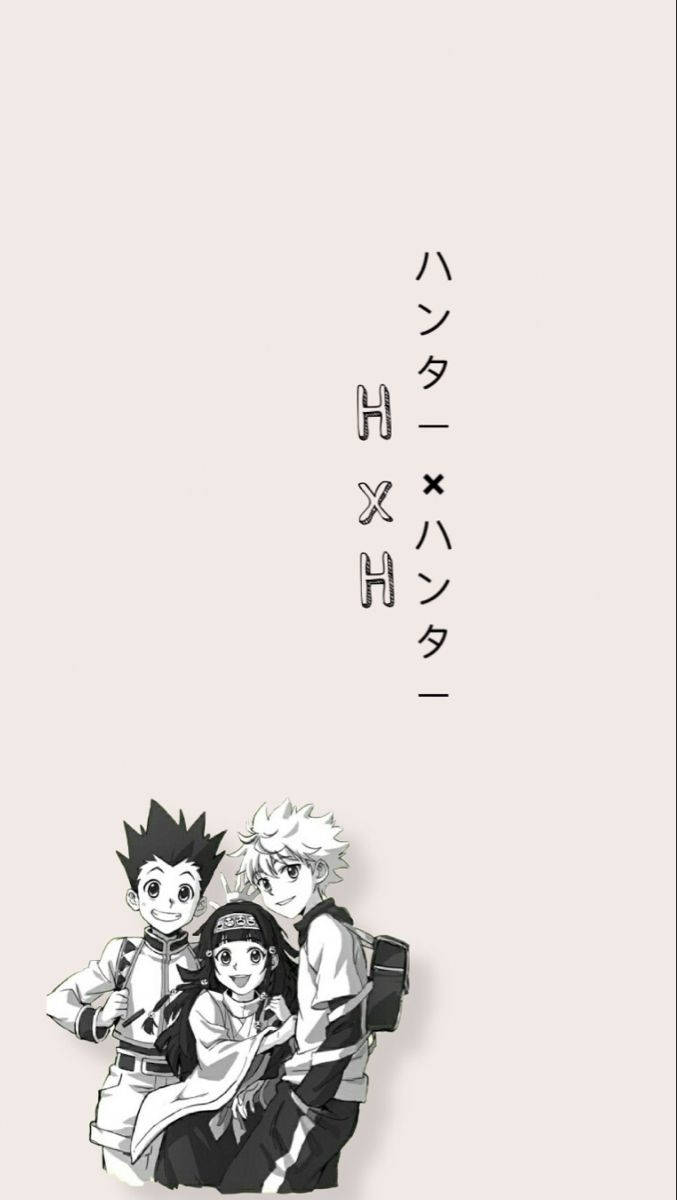 Monochromatic Hunter X Hunter Iphone Background